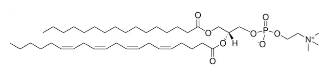 1-Palmitoyl-2-arachidonoyl-sn-glycero-3-phosphocholine Solution in Chloroform, 1000μg/mL