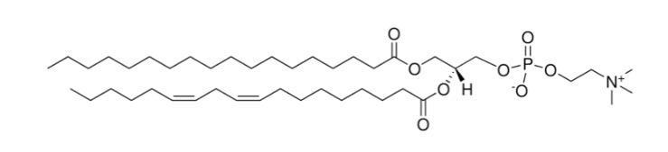 1-Stearoyl-2-linoleoyl-sn-glycero-3-phosphocholine