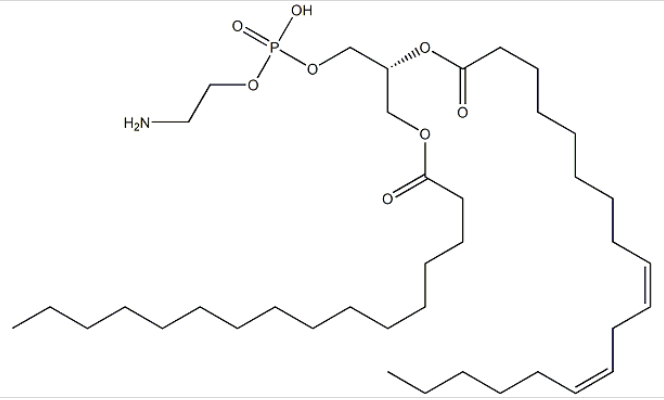 1-Palmitoyl-2-linoleoyl-sn-glycero-3-phosphoethanolamine