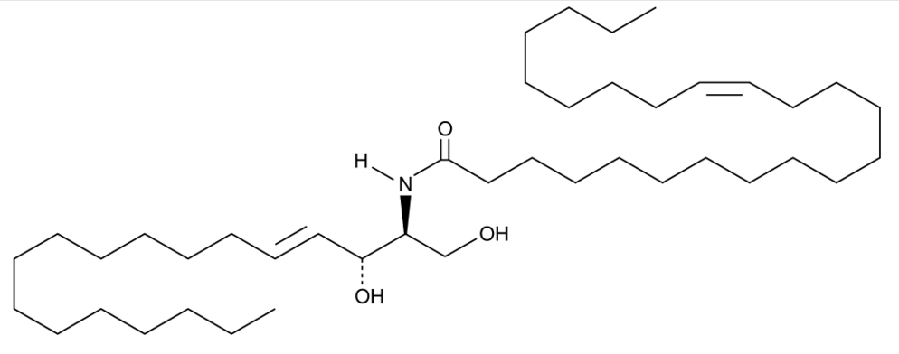 C24:1 Ceramide (d18:1/24:1(15Z))