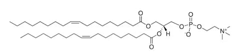 1,2-Dioleoyl-sn-glycero-3-phosphocholine