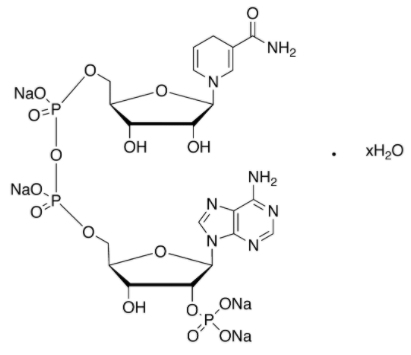 Reduced nicotinamide adenine dinucleotide phosphate tetrasodium salt hydrate