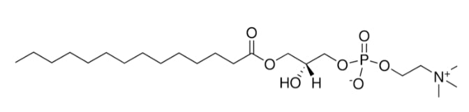 1-Myristoyl-sn-glycero-3-phosphocholine