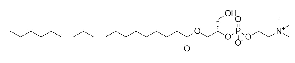 1-Linoleoyl-sn-glycero-3-phosphorylcholine