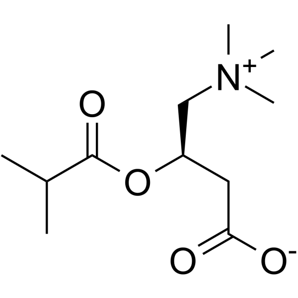 Isobutyryl-L-carnitine Solution in Water/Acetonitrile, 100μg/mL