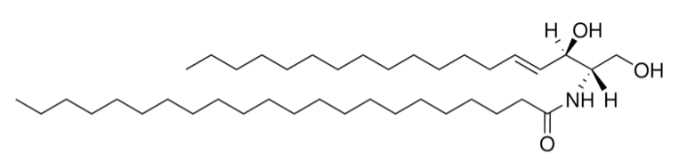 C22 Ceramide