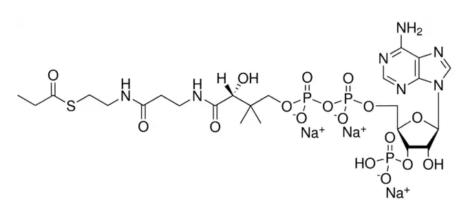 Propionyl-CoA trisodium salt