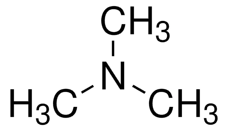 Trimethylamine