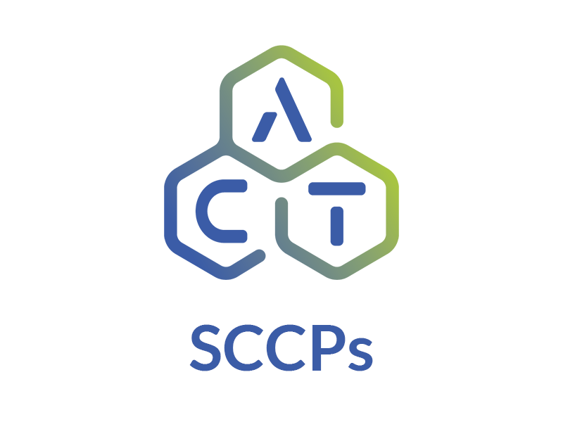 Chloroparaffin C12 64% Cl Solution in Hexane, 100μg/mL