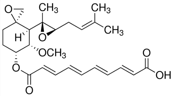 Fumagillin