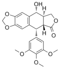 Podophyllotoxin