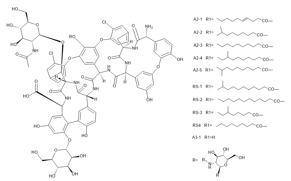 Teicoplanin