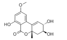 Altenuene