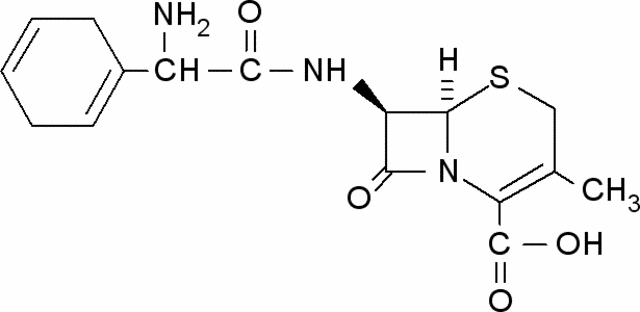 Cephradine