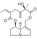 Seneciophylline