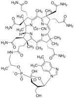 Vitamin B12