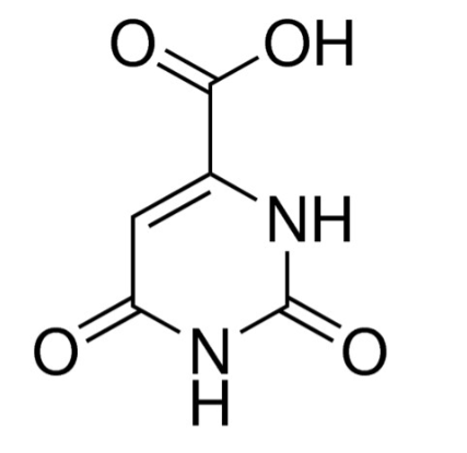 Vitamin B13