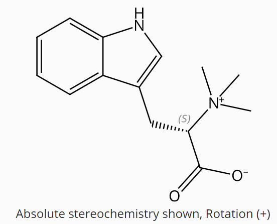 L-Hypaphorine