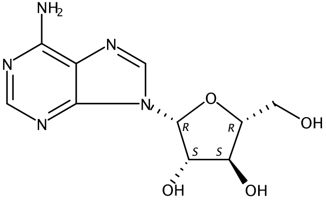 Adenine 9-β-D-arabinofuranoside