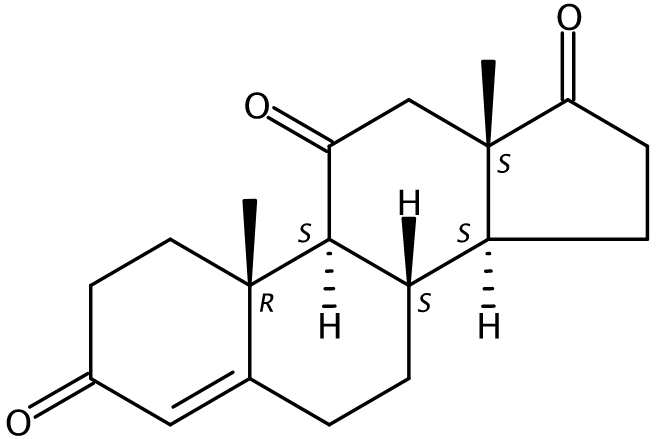 Adrenosterone