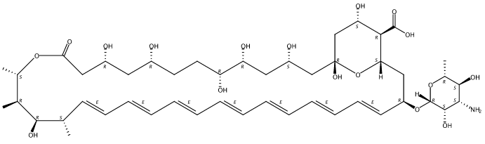 Amphotericin B