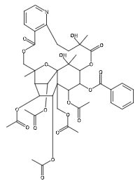 Wtlfordine