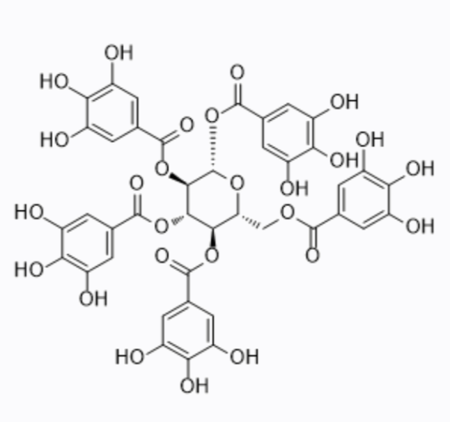 1,2,3,4,6-O-Pentagalloylglucose