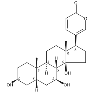 7β-Hydroxybufalin