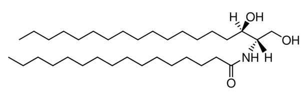 C16 Dihydroceramide