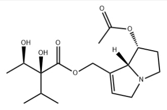 7-Acetylintermedine