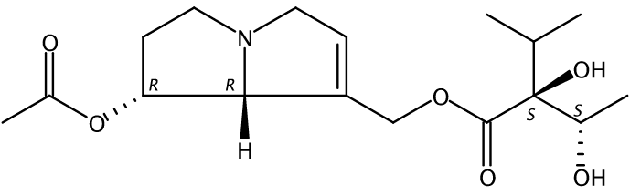 7-Acetyllycopsamine