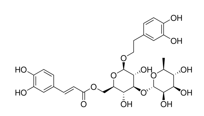 Isoacteoside