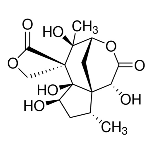 Anisatin