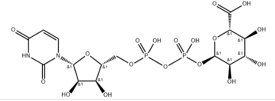 UDP-Dlucuronic acid