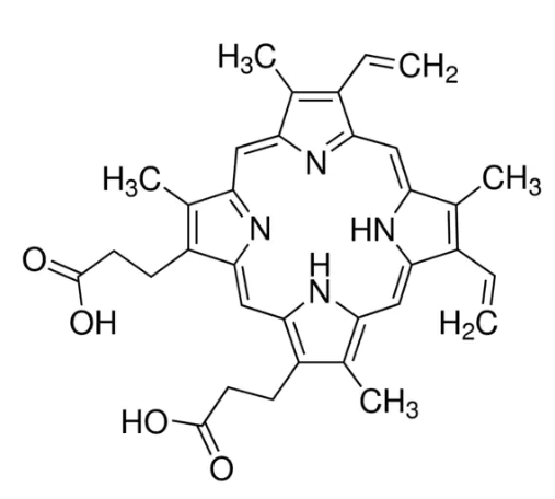 Protoporphyrin