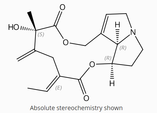 Spartioidine