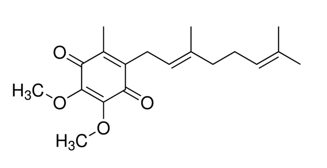 Coenzyme Q2