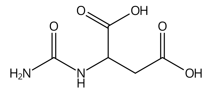 Ureidosuccinic acid