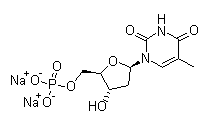 Thymidine 5′-monophosphate disodium salt