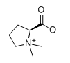 L-Stachydrine