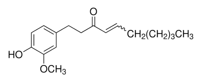 6-Shogaol