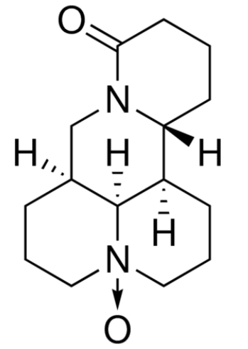 Oxymatrine