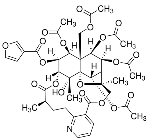 Wilforgine