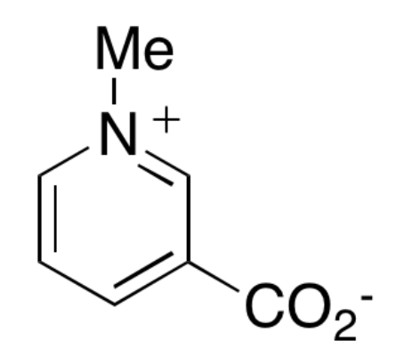 Trigonelline