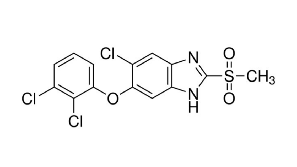 Triclabendazole sulfone