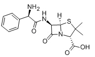 Ampicillin