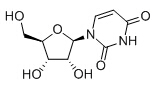 Uridine