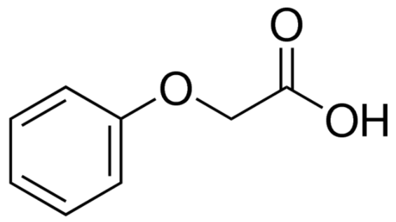 Phenoxyacetic acid