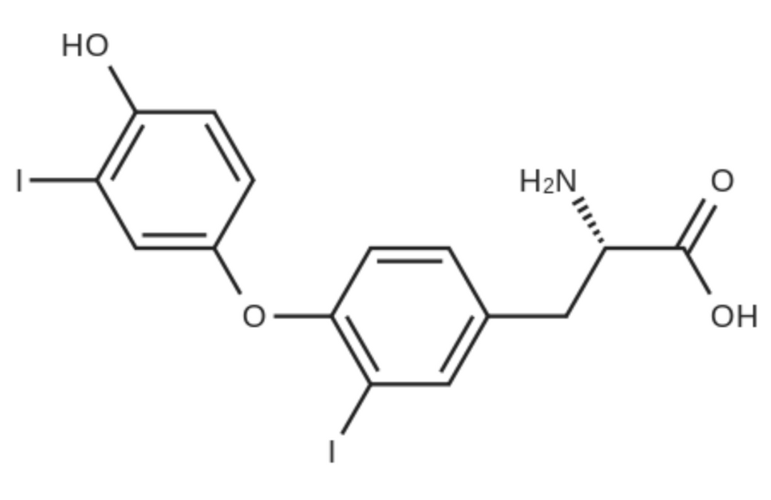 (2S)-2-amino-3-[4-(4-hydroxy-3-iodophenoxy)-3-iodophenyl]propanoic acid