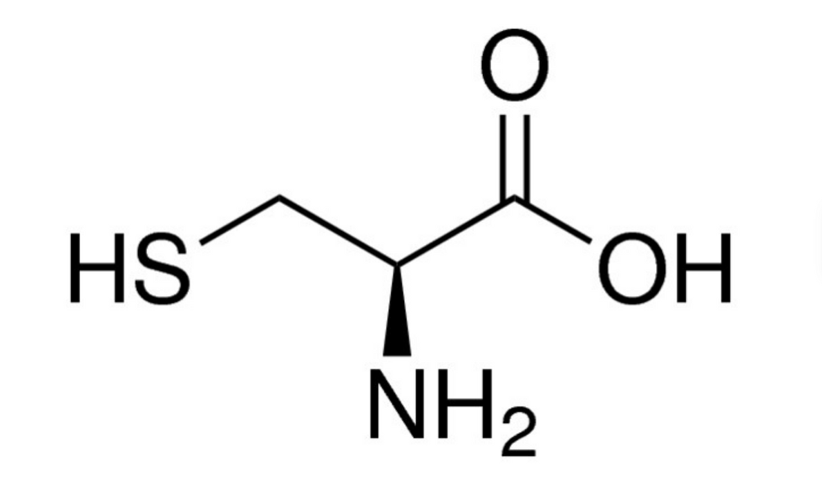 L-Cystein